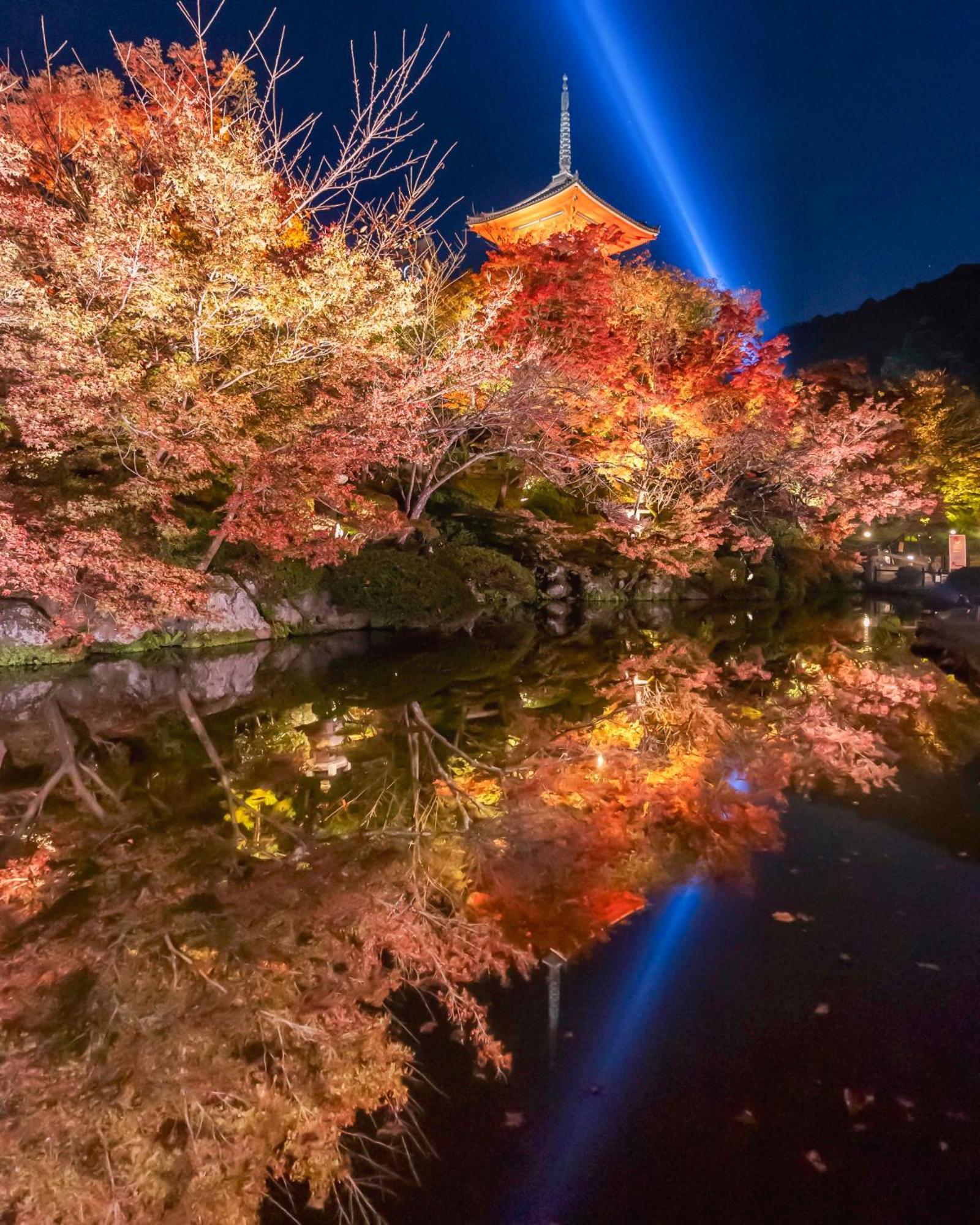 Omo5 Gion By Hoshino ホテル 4*