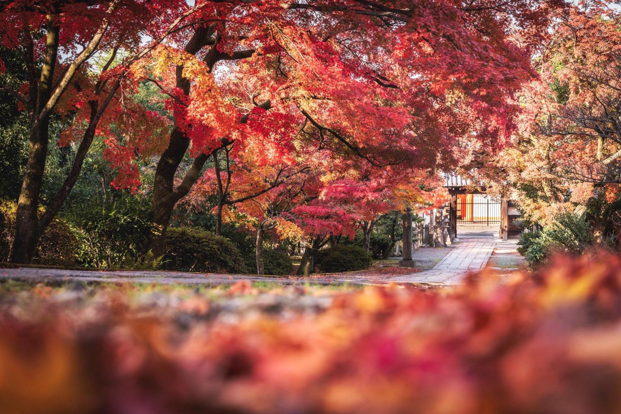ホテル Omo5 Gion By Hoshino