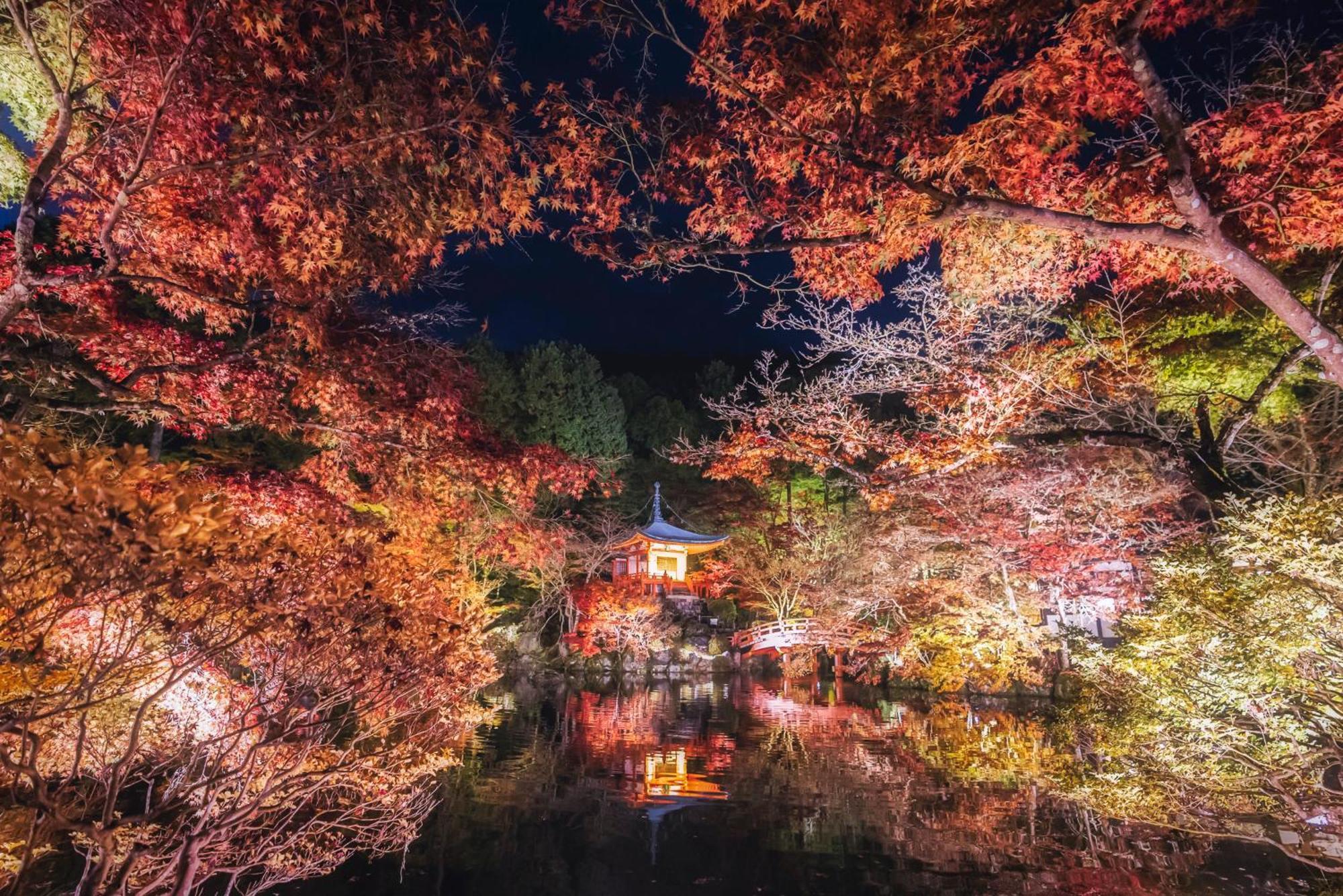 ホテル Omo5 Gion By Hoshino 京都市